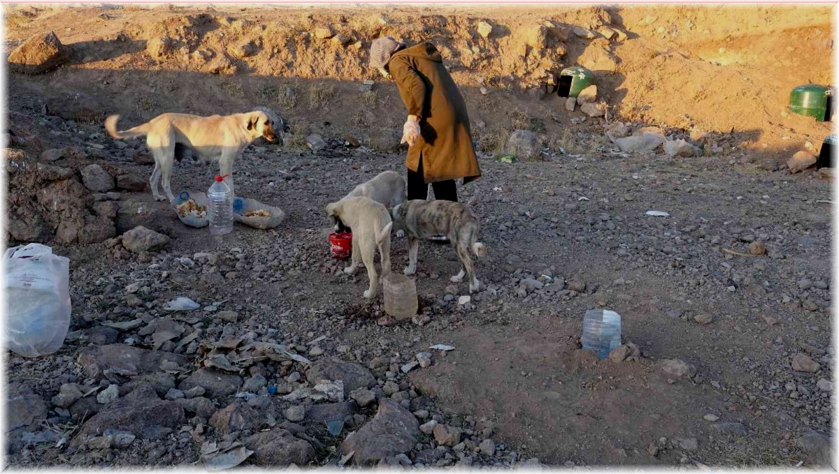 Can dostlar 2 çocuk annesi Şükran'a emanet