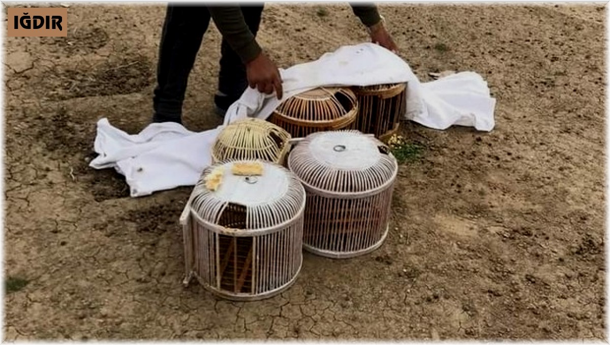 Canlı mühre ile keklik avlayan 3 kişiye 8 bin 67 TL ceza