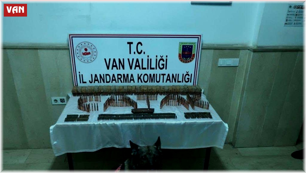 Çatak'ta çok sayıda mühimmat ele geçirildi