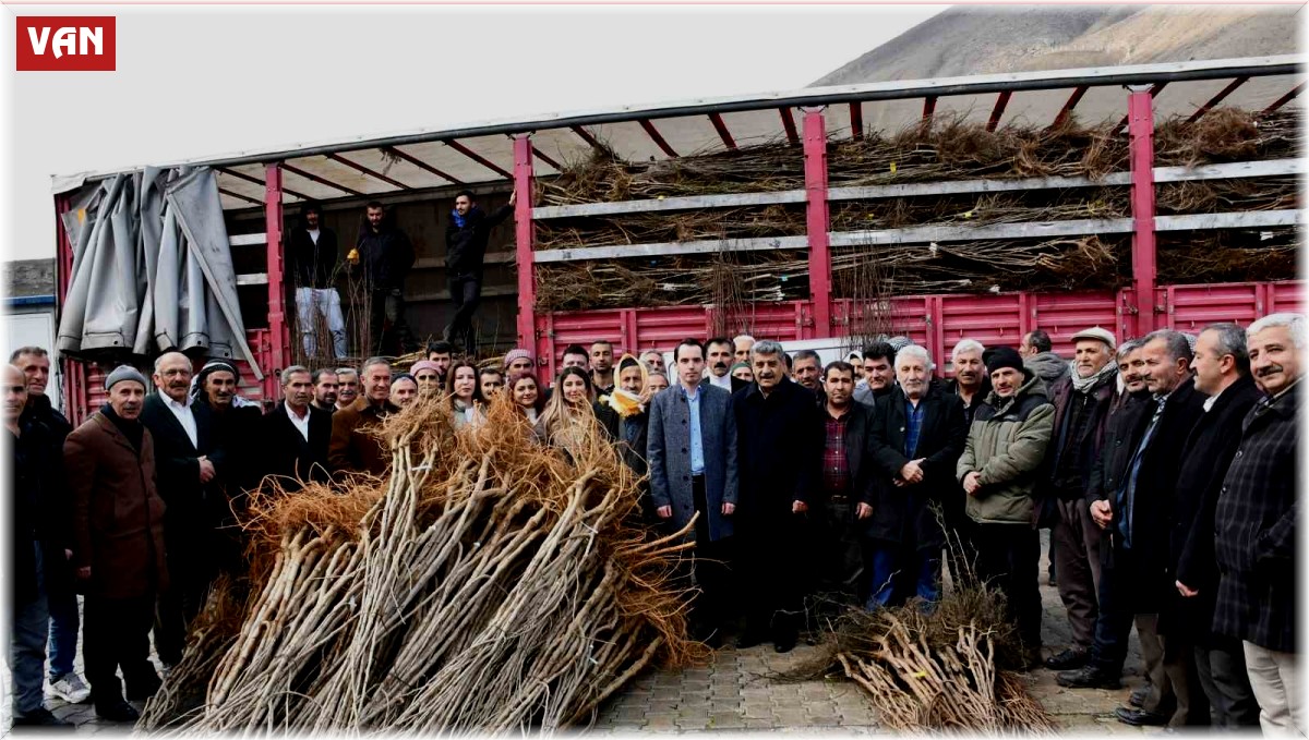 Çatak'ta fidan dağıtım