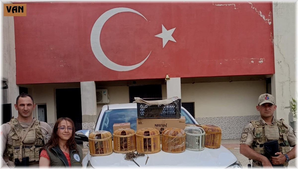 Çatak'ta kafes avcılığı yapan 1 kişi jandarmaya takıldı
