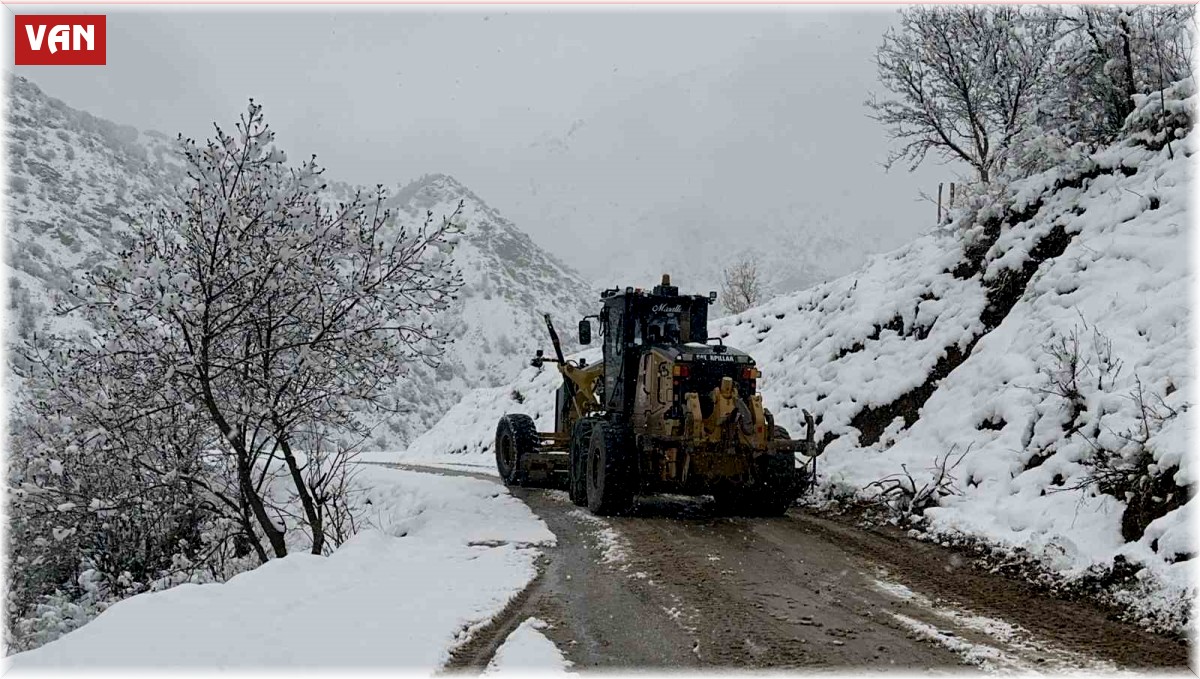 Çatak'ta kar yağışı
