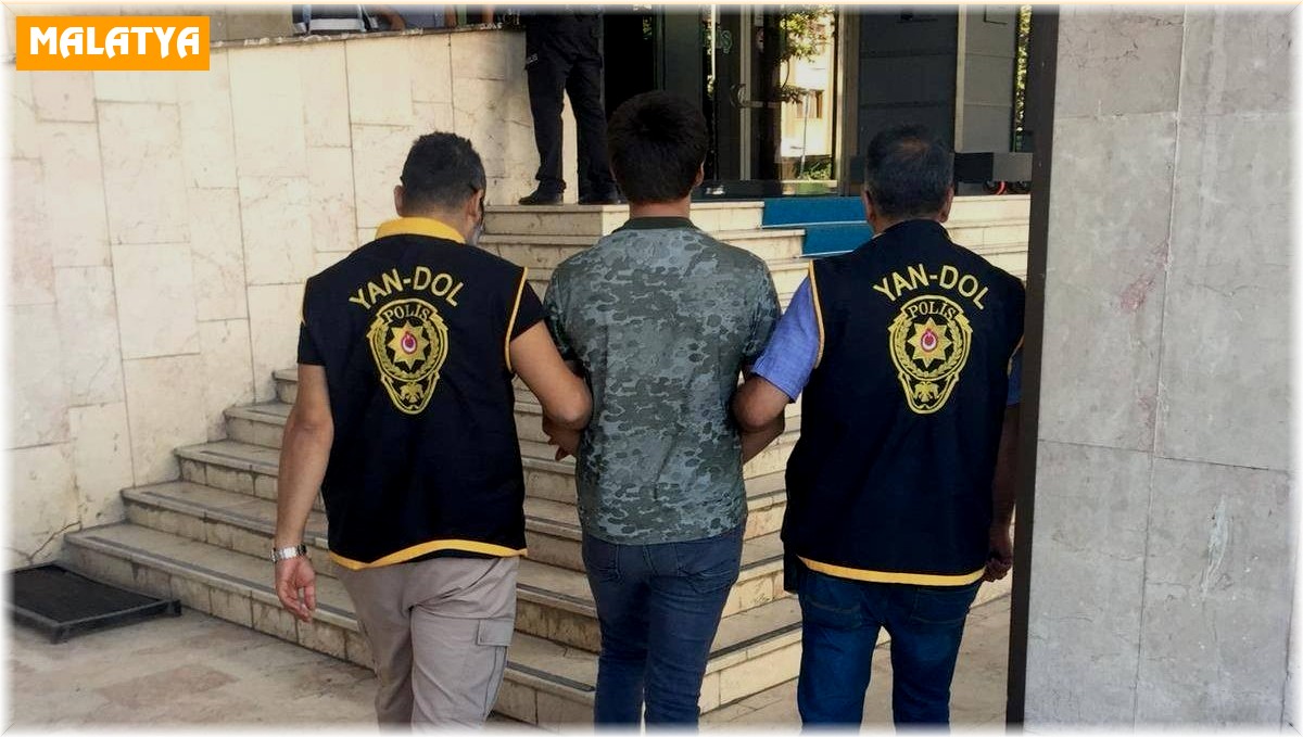 Çatı faresi yakalandı