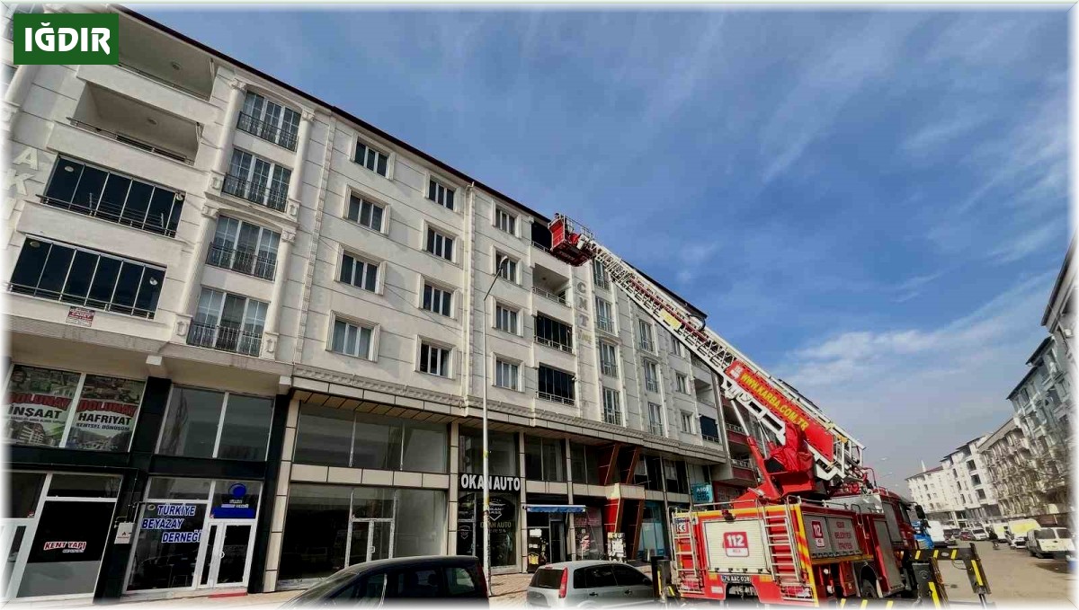 Çatıda asılı kalan kuşu itfaiye kurtardı