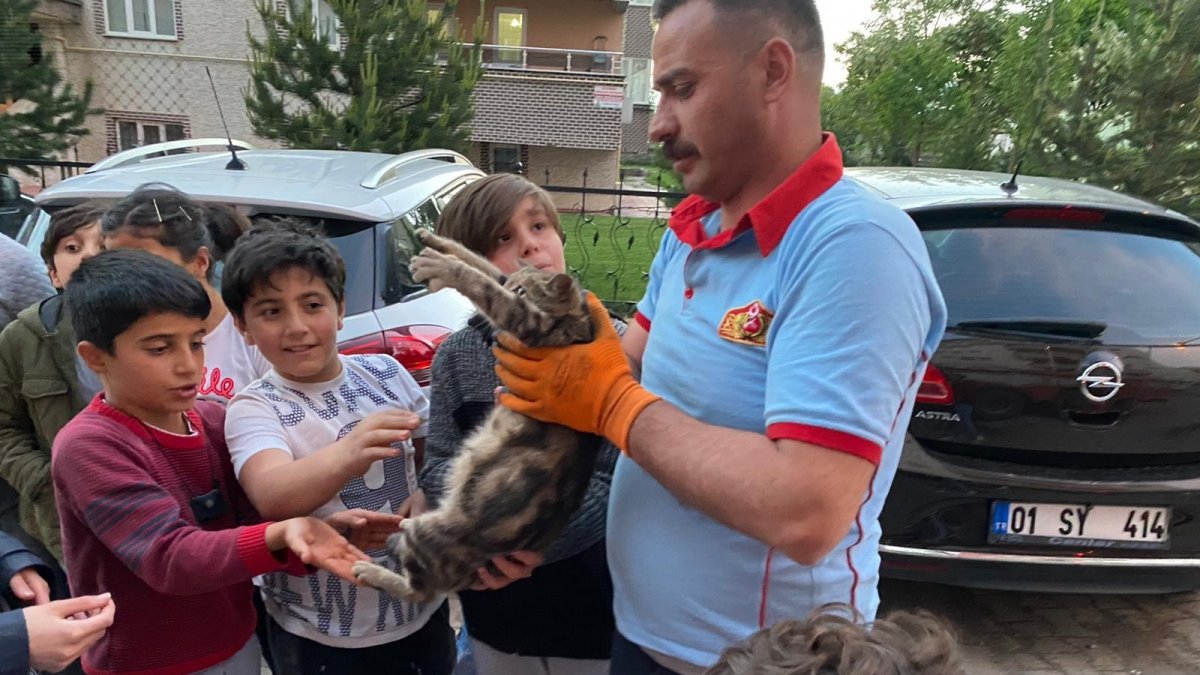 Çatıda mahsur kalan hamile kediyi itfaiye ekipleri kurtardı
