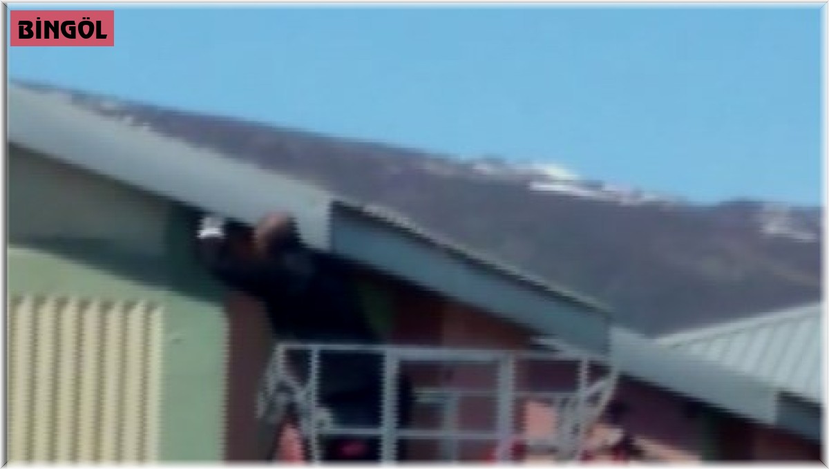 Çatıda mahsur kalan kargayı itfaiye kurtardı