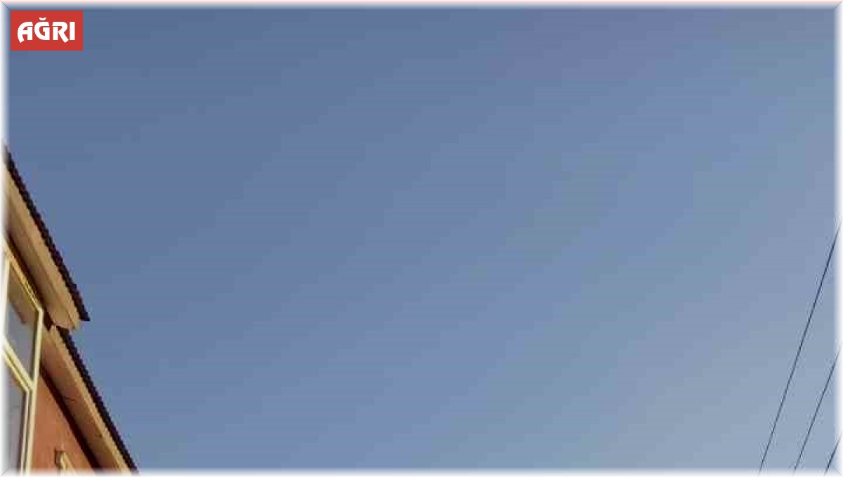 Çatıya sıkışan karga kurtarıldı