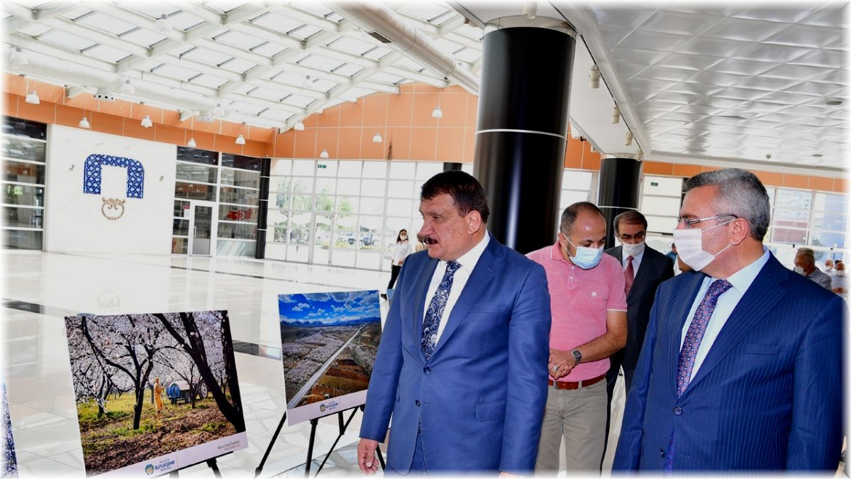 "Çekirdekten meyveye kayısı" fotoğraf sergisi açıldı