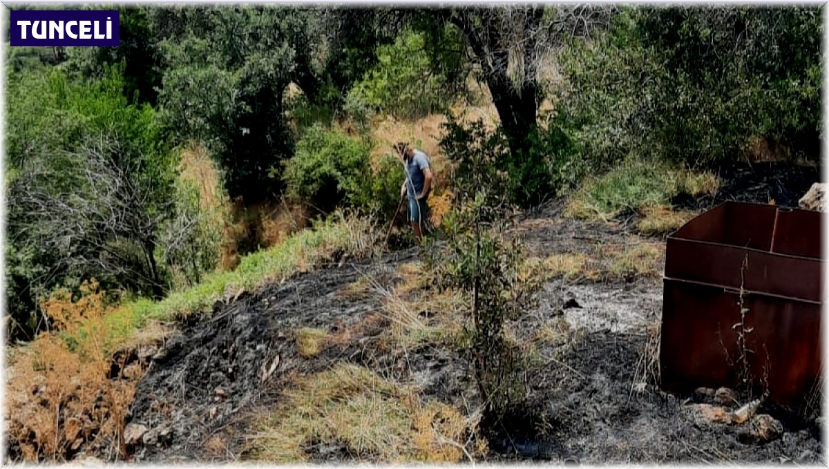 Çemişgezek'te ot yangını