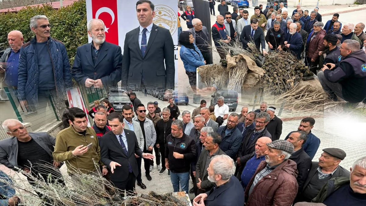 Çemişgezek'te vatandaşlara 800 ücretsiz fidan dağıtıldı