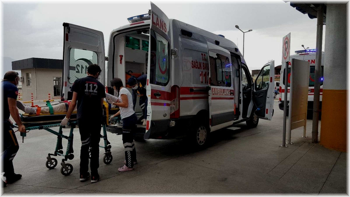 Ceviz hasadının başlamasıyla birlikte ağaçtan düşme vakaları arttı