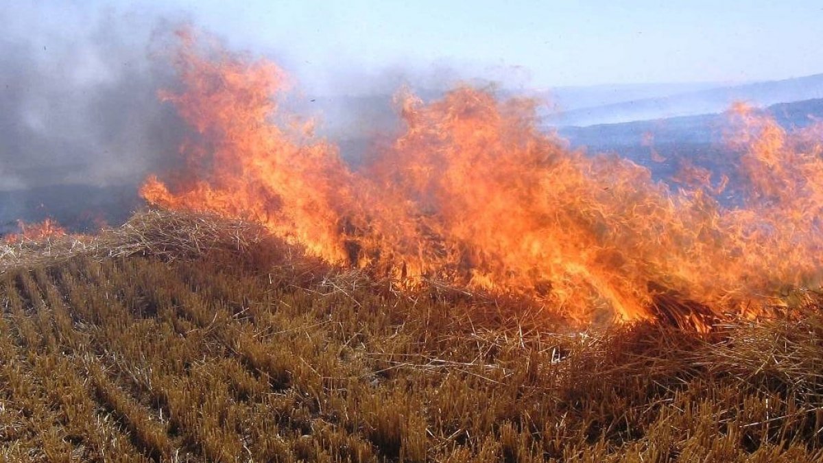 Çiftçilere "anız" uyarısı
