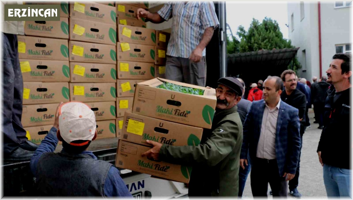 Çiftçilere fide dağıtıldı