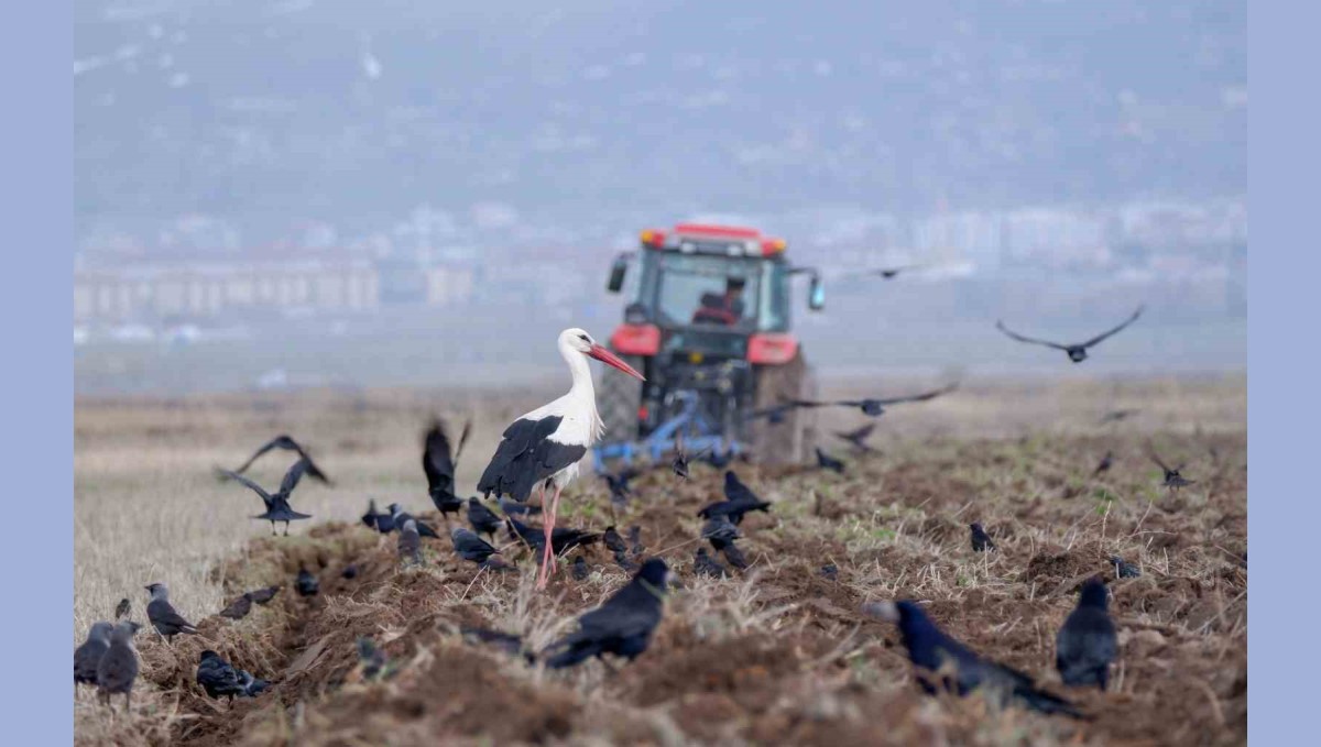 Çiftçilere zirai don uyarısı