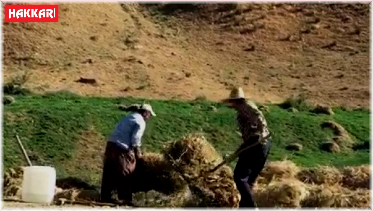 Çiftçilerin zorlu mesaisi