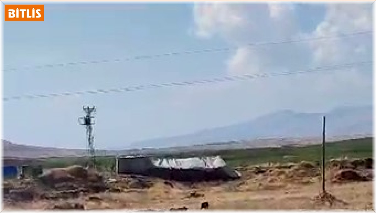 Çiftçinin kabusu domuz sürüsü görüntülendi