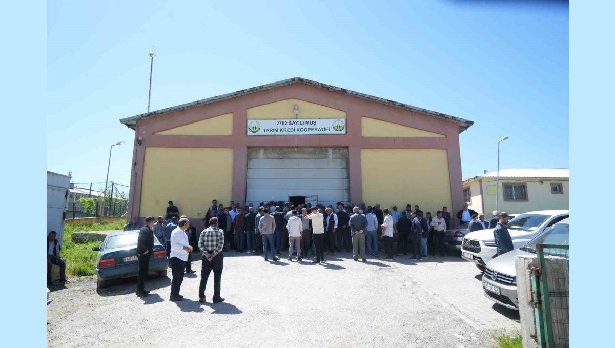 Çiftçiye 6,5 milyon TL'lik fide desteği