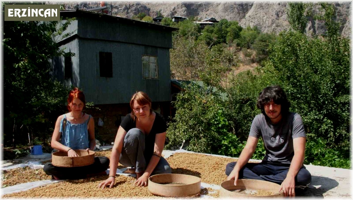 Çiftlikte çalışarak tatil