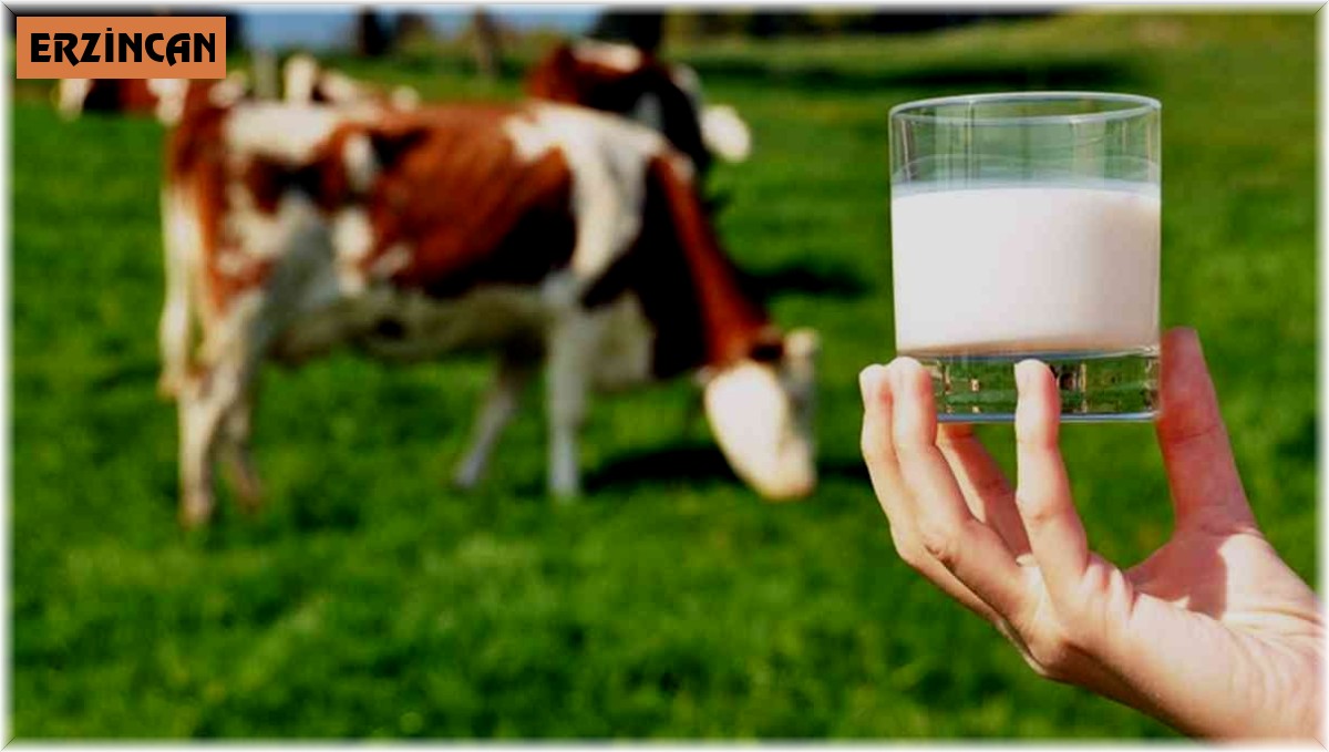 Çiğ süt üretimi azaldı