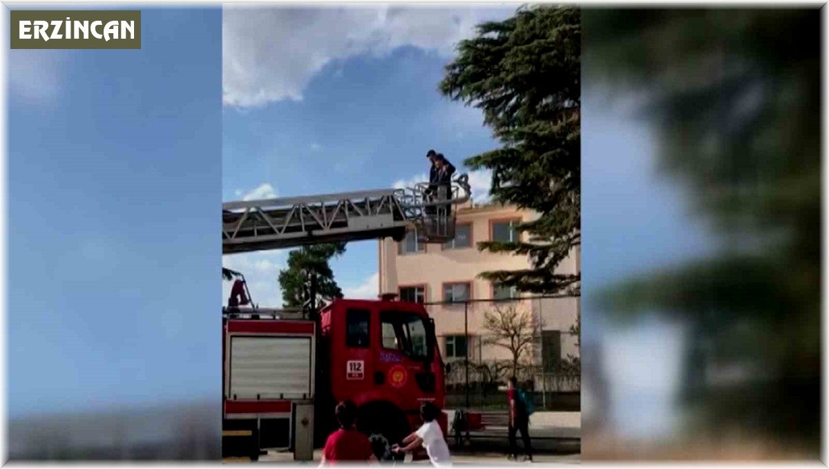 Çıktığı ağaçtan inemeyen çocuğu itfaiye kurtardı