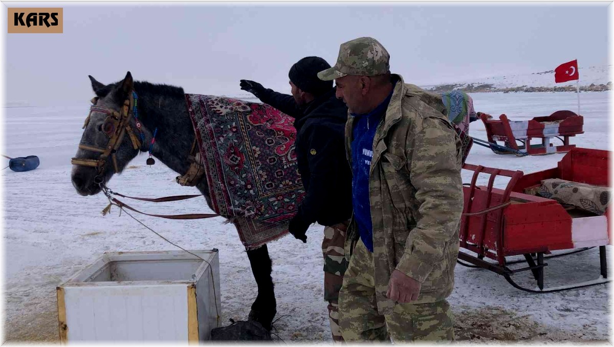 Çıldır'da atları üzerine battaniye örterek koruyorlar