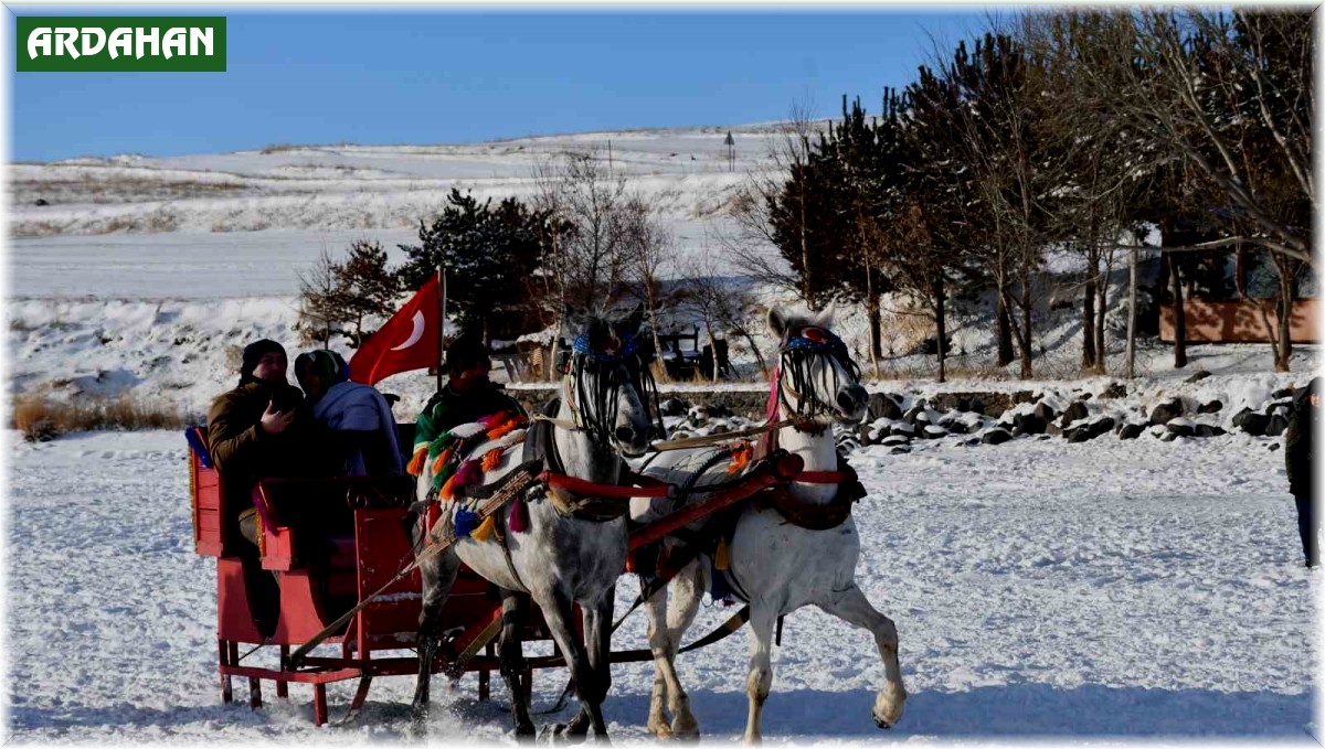 Çıldır Gölü'nde renkli görüntüler