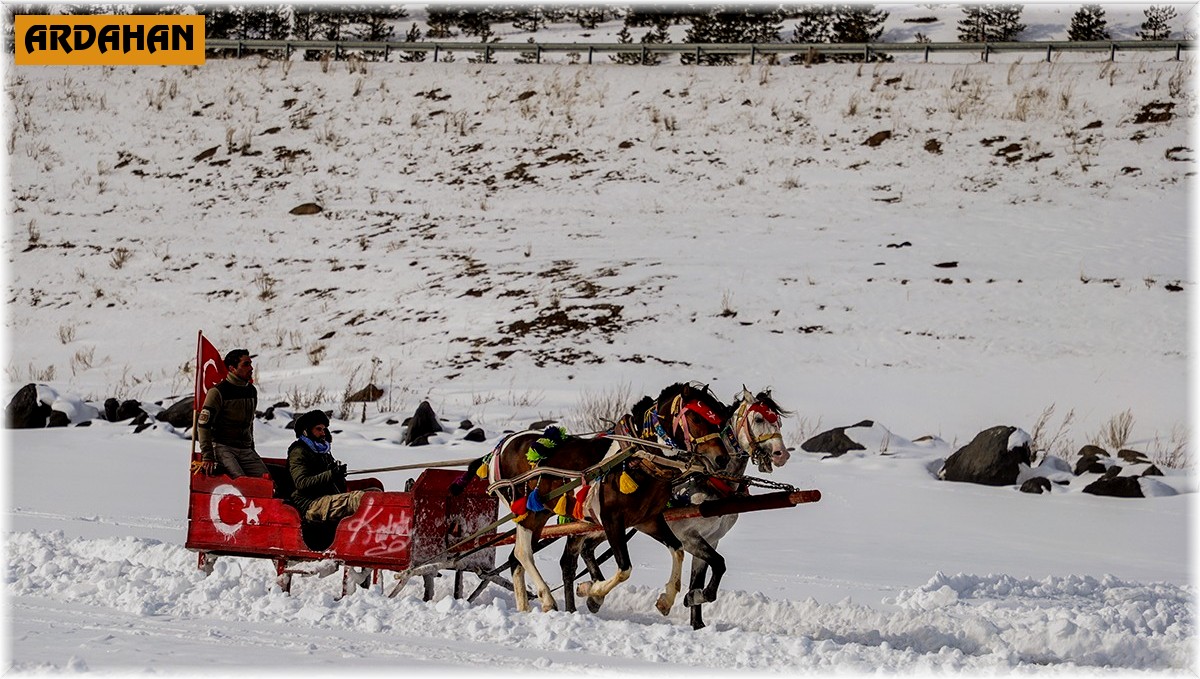 Çıldır Gölü'nde renkli görüntüler