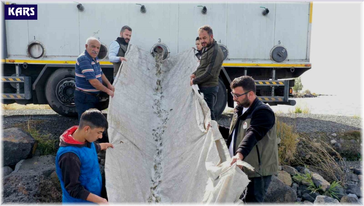 Çıldır Gölü'ne 2 bin 800 yavru sazan bırakıldı