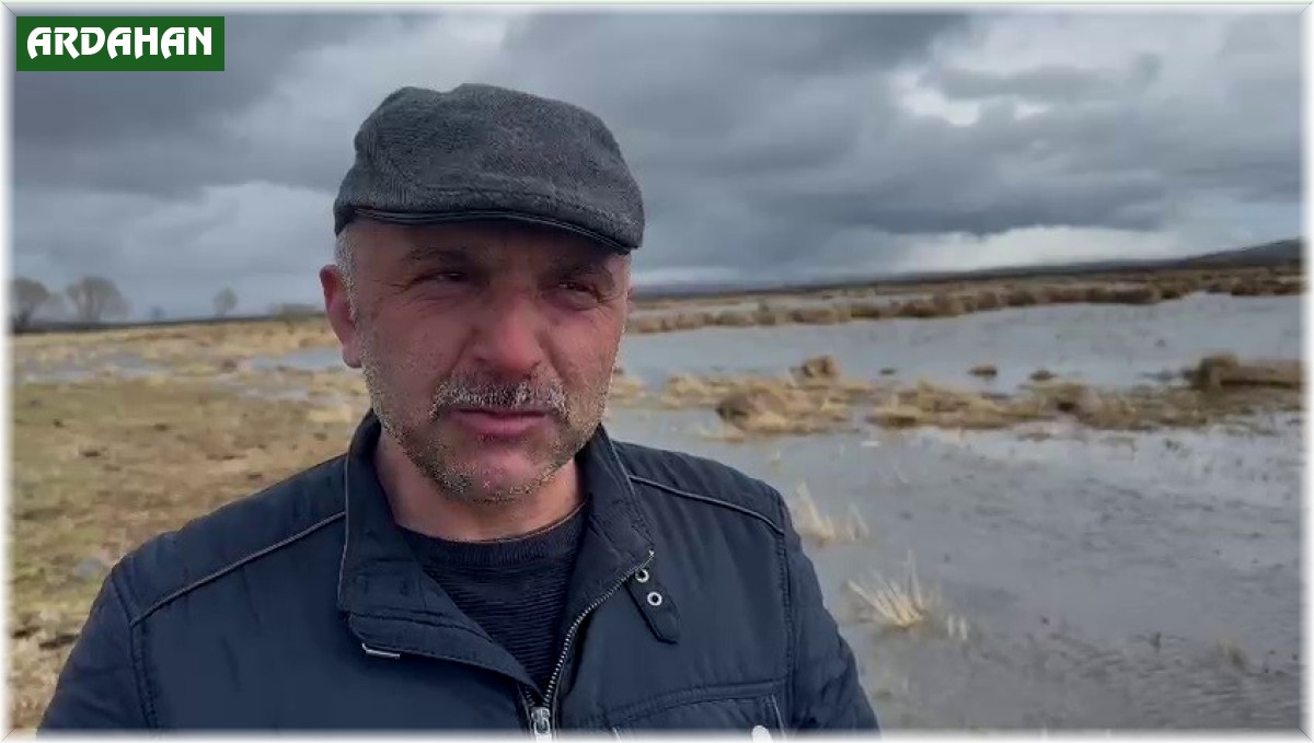 Çıldır Gölü sazlık alandaki su seviyesi arttı