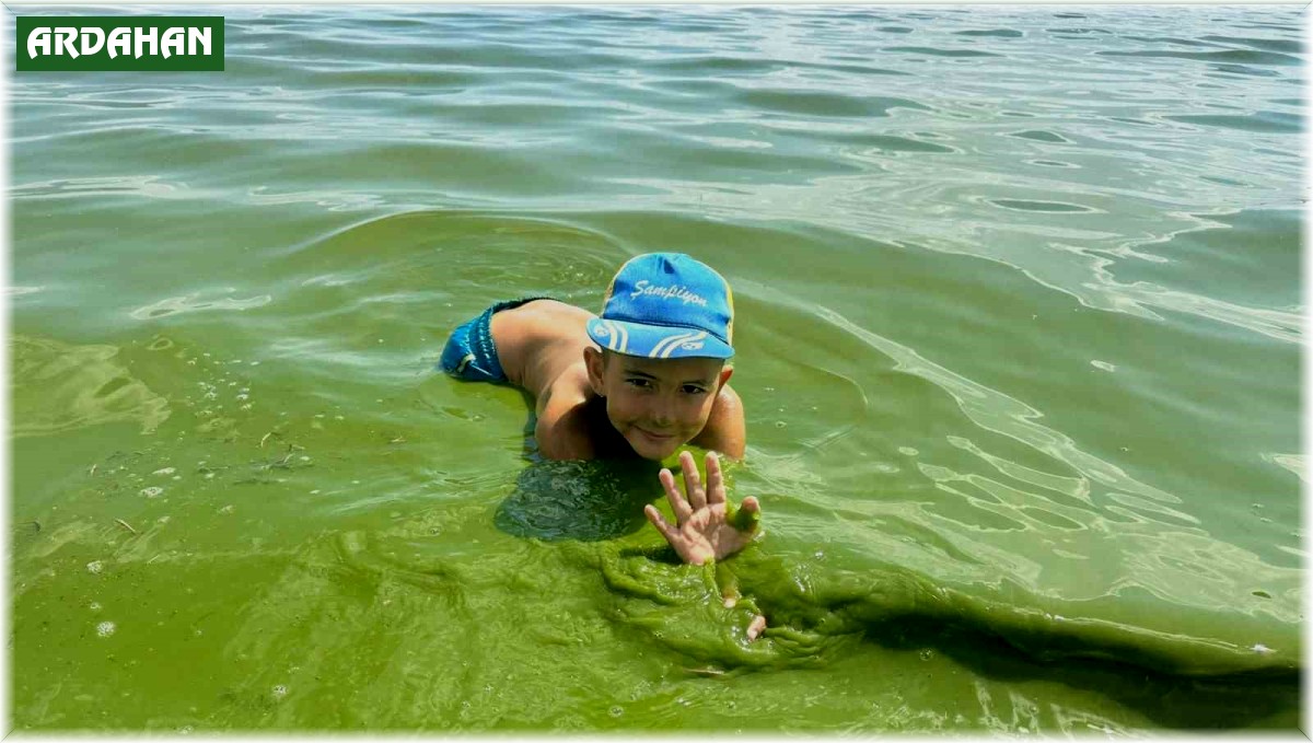 Çıldır Gölü yeşil renge büründü