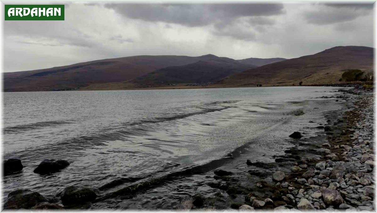 Çıldır Gölü yeşile büründü