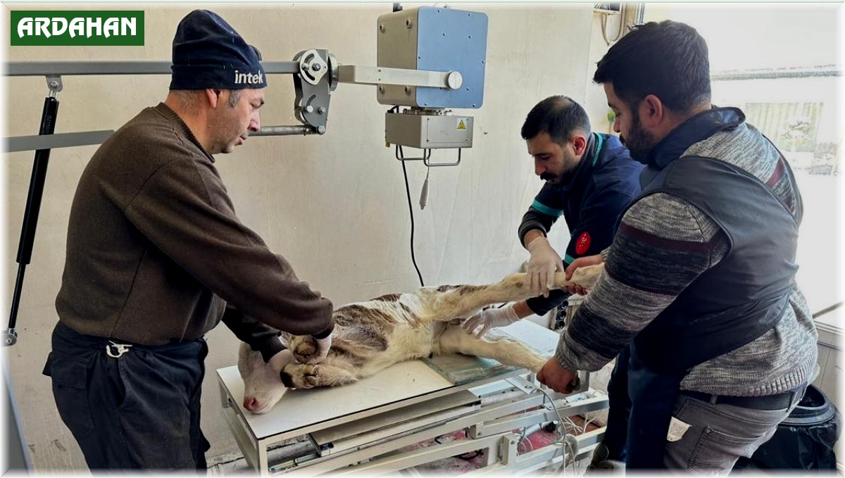 Çıldırlı veteriner hekimden ilçeye röntgen cihazı