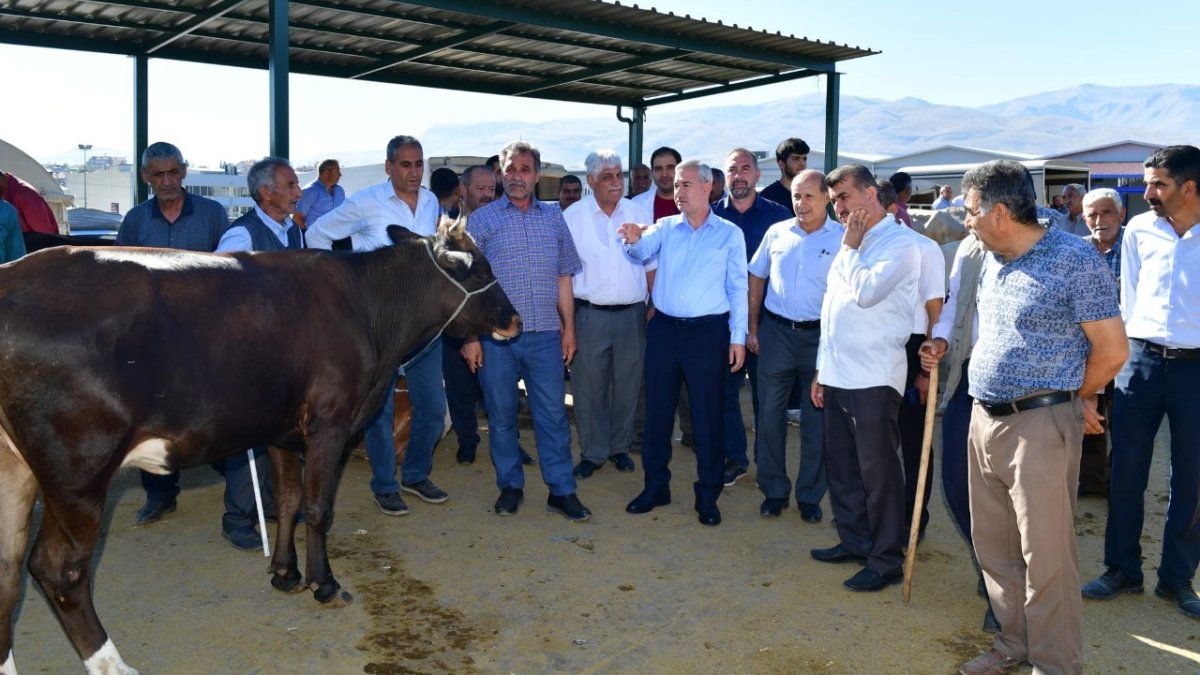 Çınar, canlı hayvan pazarını ziyaret edip, üreticilerle bir araya geldi
