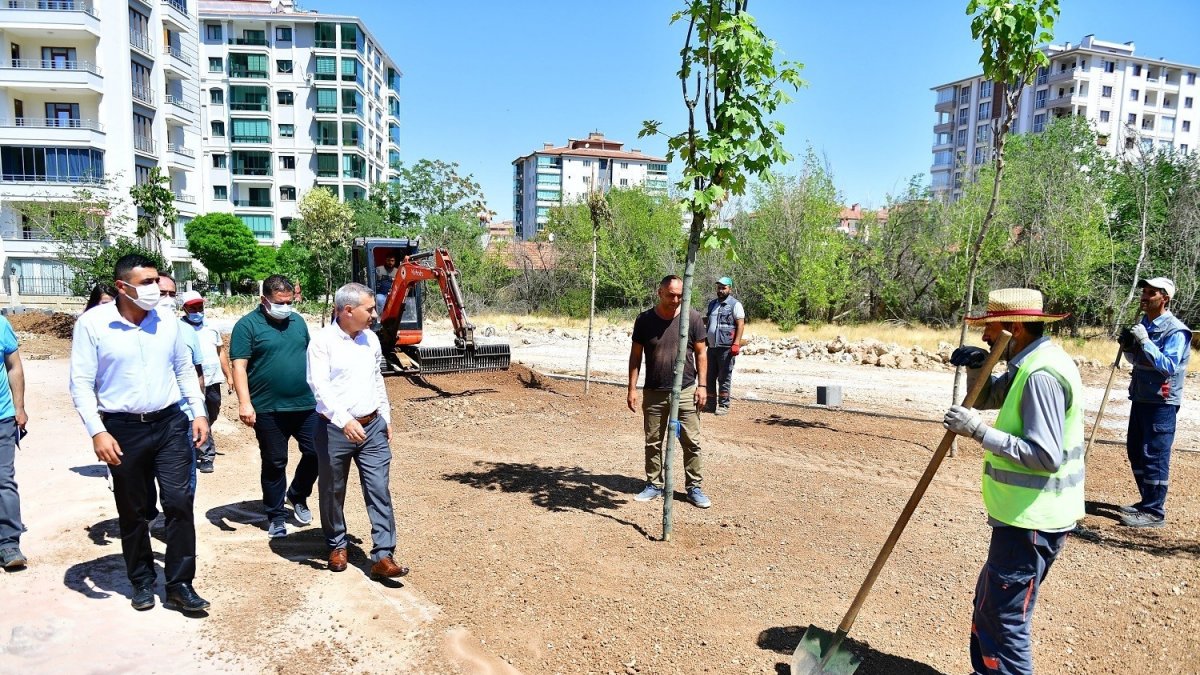 Çınar, Horata Deresi etrafındaki yeşillendirme çalışmalarını inceledi