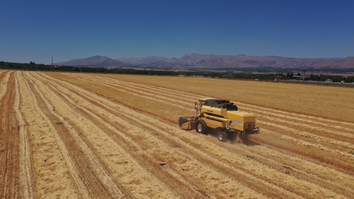 Çınar, tarımsal üretim sahasındaki faaliyetleri inceledi