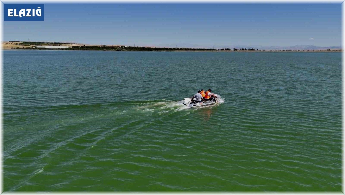 Cip baraj gölünde biyolojik larvasit çalışması