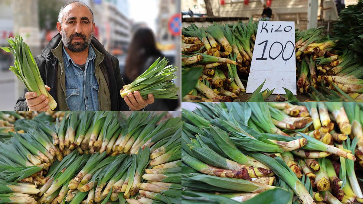 Çiriş otu (Gulik) tezgahlarda, Elazığ'da kilosu 100 liradan satışa çıktı