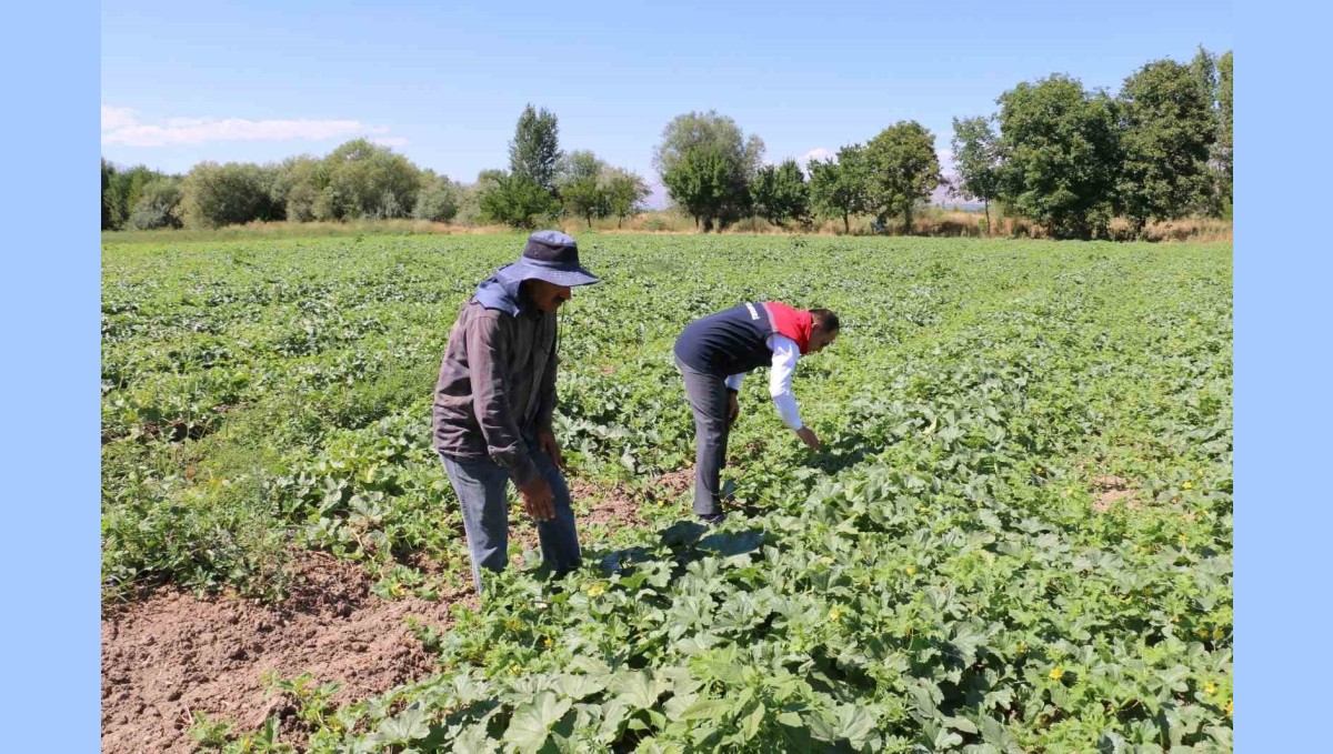ÇKS başvuruları 31 Aralık'ta sona eriyor