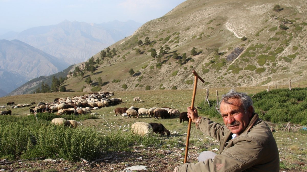 Çoban üretim için yol istedi