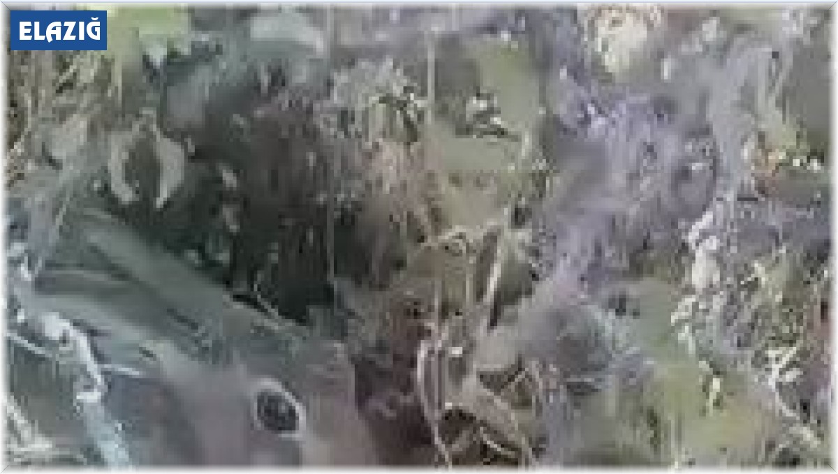 Çobanın, keçilerini otlatırken gördüğü tavşanla sohbeti gülümsetti: ''Ne yapıyon hacı''