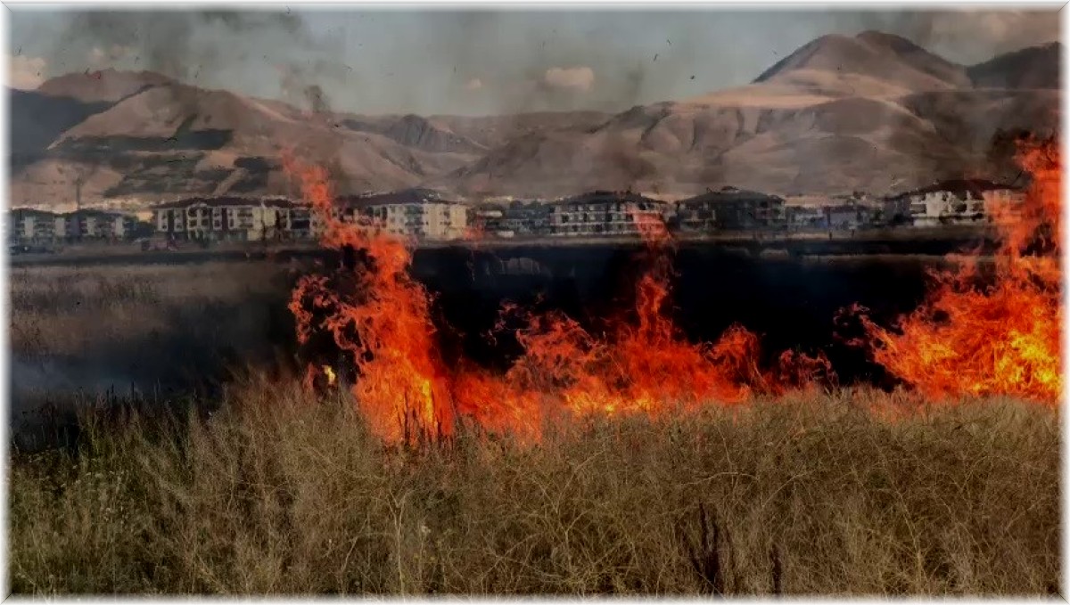 Çocukların oyunu buğday tarlasını yaktı, 20 dönüm küle döndü