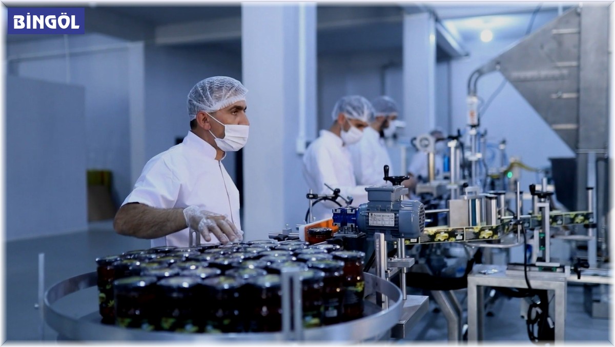 Coğrafi işaret alan Bingöl balı, ihracat yolunda