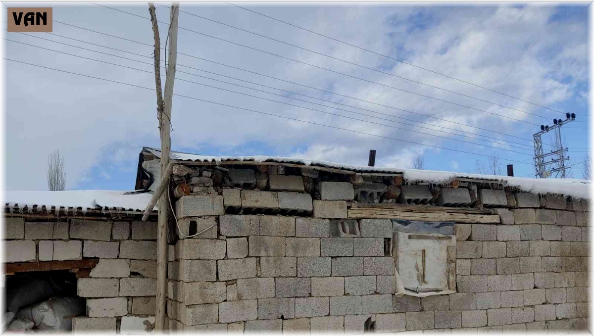 Çöken ahırdaki hayvanlar kurtarıldı