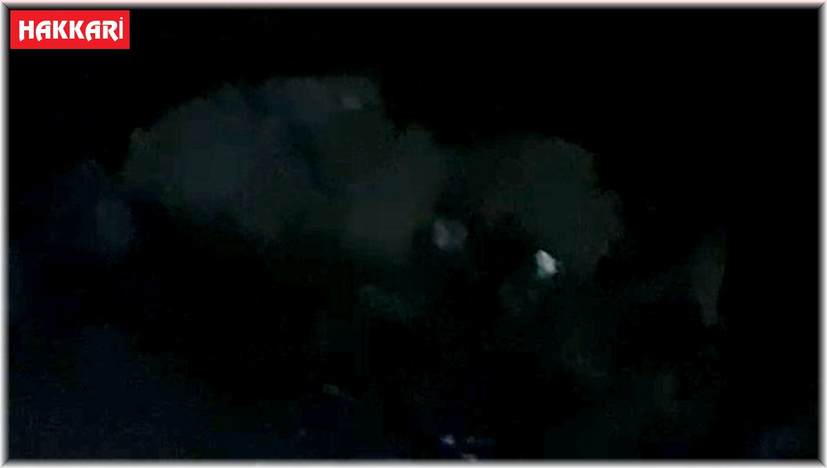 Çöplükte beslenen ayı görüntülendi