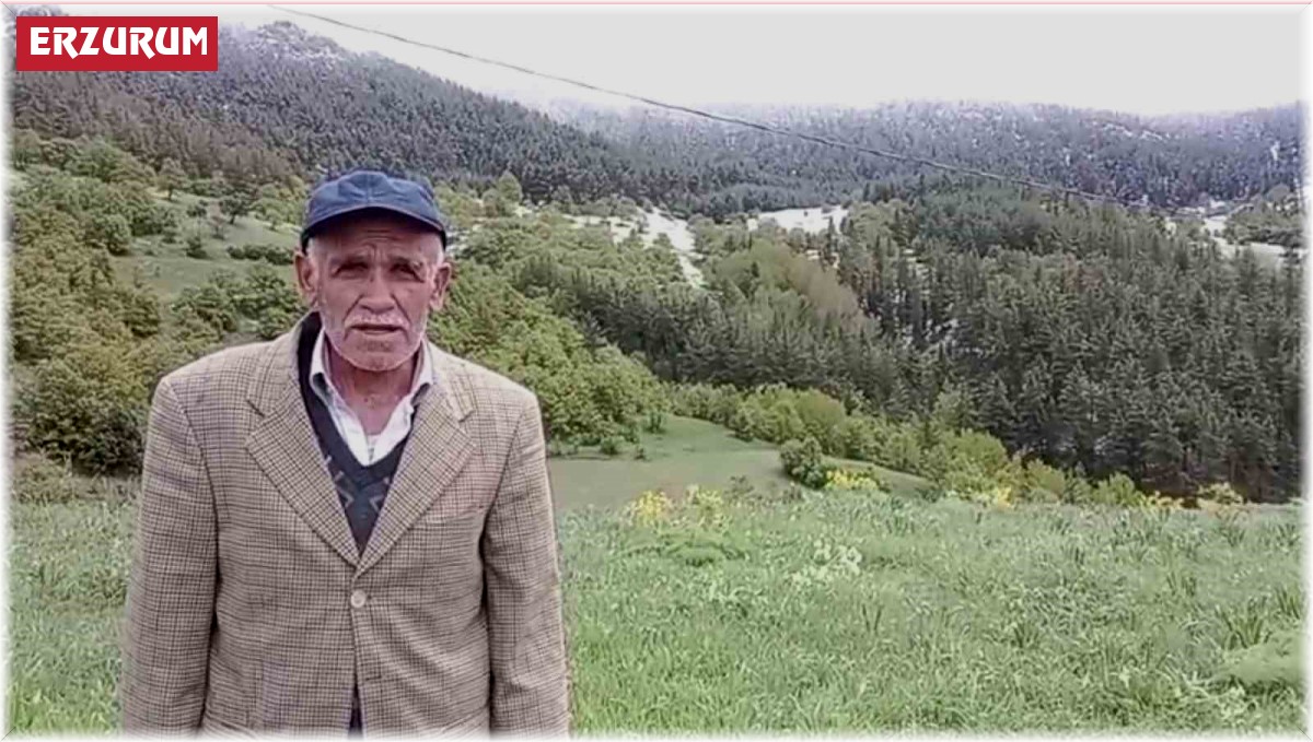 Coreker Yaylası'na kar yağdı