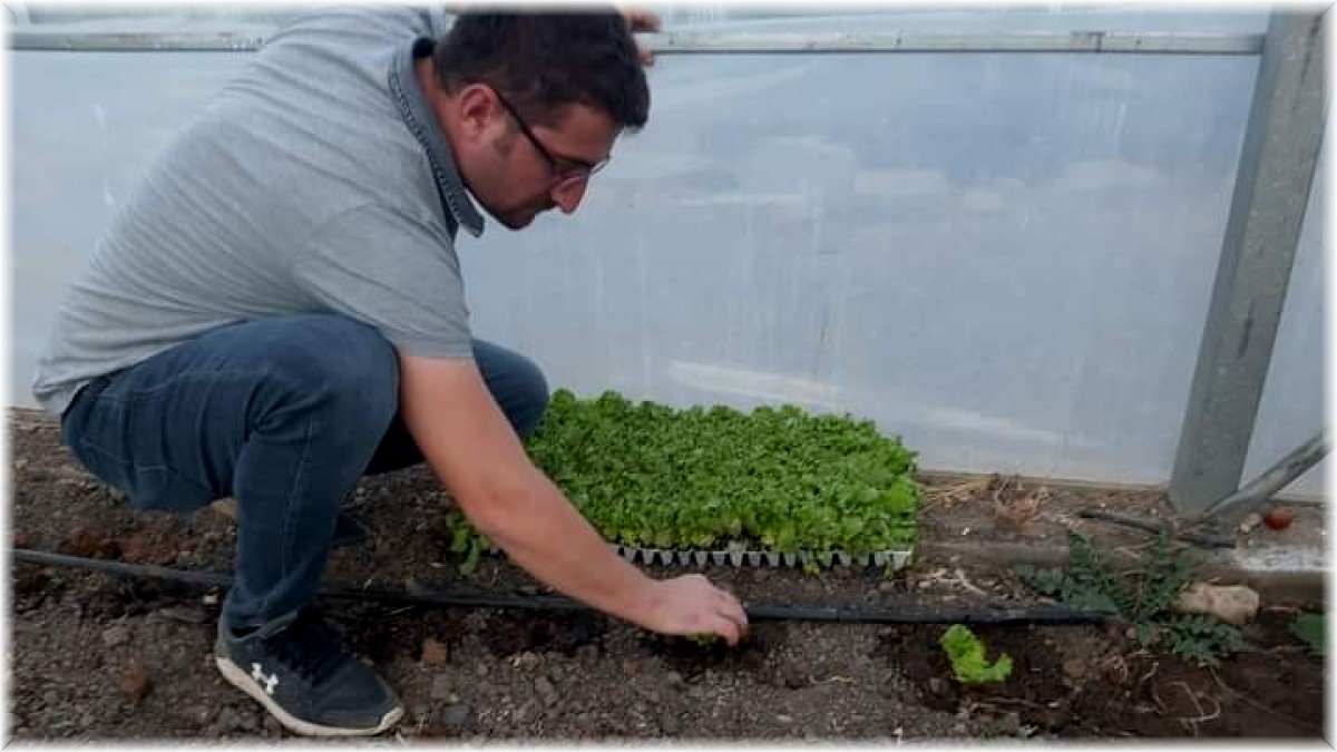 Çukurca Belediyesi seralardan ikinci mahsulleri aldı