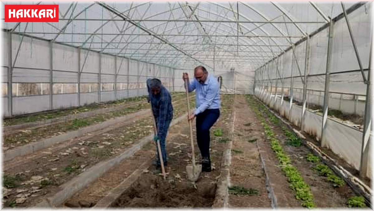 Çukurca Belediyesinin seralarında yeni ürünlerin ekimine başlandı