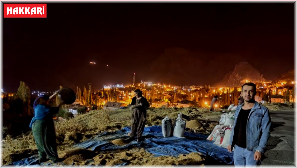 Çukurca'da 49 nolu sınır taşında pirinç hasadı