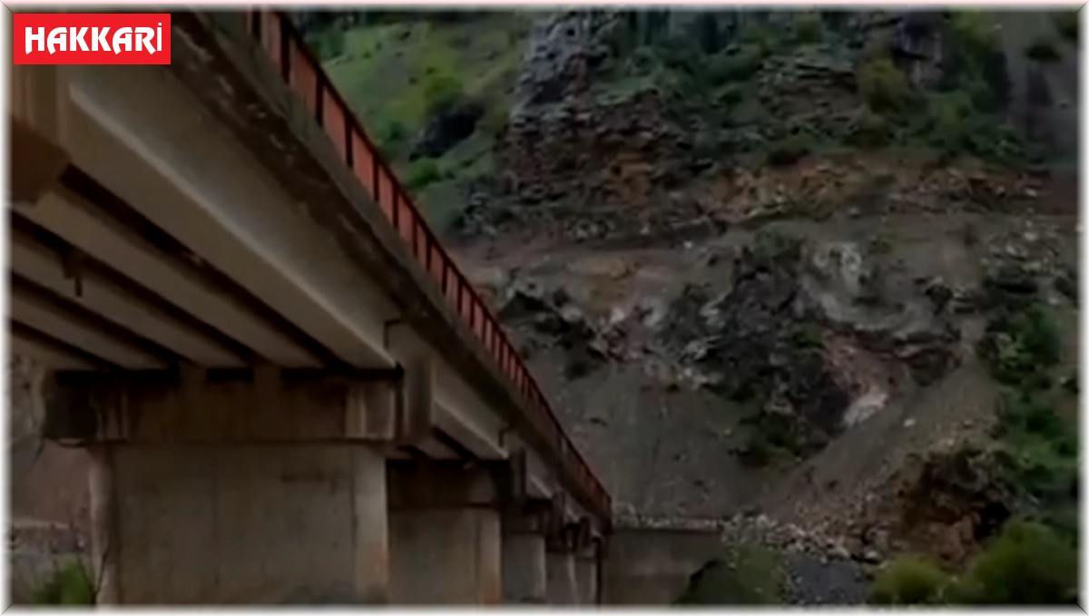 Çukurca'da aşırı yağışlar hayatı olumsuz etkiledi