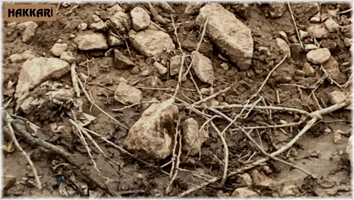 Çukurca'da bulunan havan topu mühimmatı imha edildi